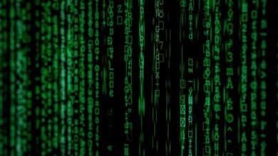 data network testing algorithm