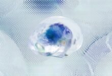 data intelligence tracking numbers