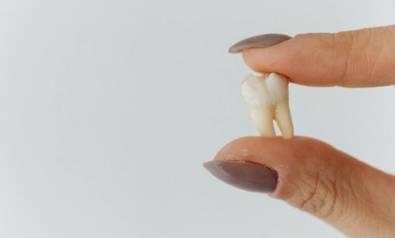 insight extraction index data