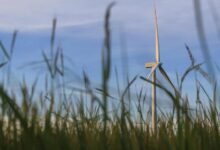 digital growth solutions strategy