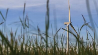 digital growth solutions strategy