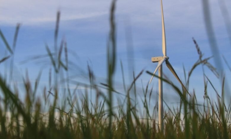 digital growth solutions strategy